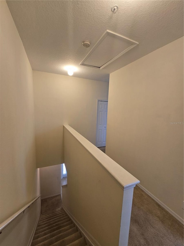 stairs featuring a textured ceiling and carpet