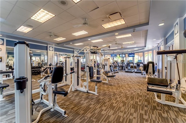 gym with carpet flooring, a paneled ceiling, and ceiling fan