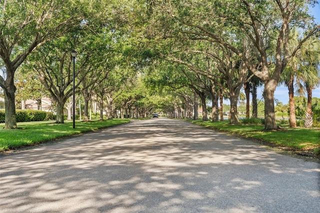 view of road