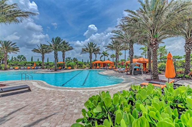 view of swimming pool featuring a patio area