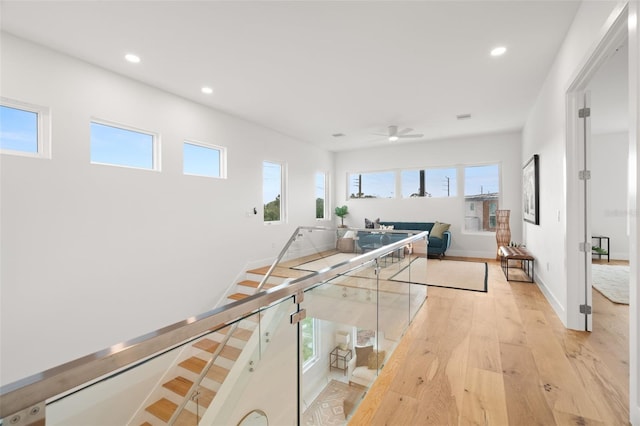 corridor with plenty of natural light and light hardwood / wood-style flooring