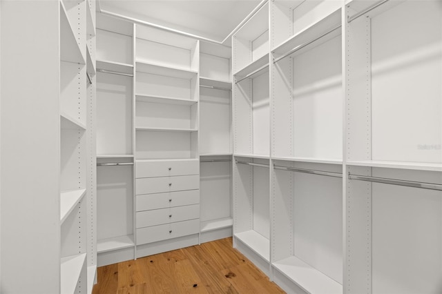 walk in closet featuring wood-type flooring