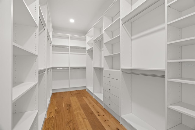 spacious closet featuring light wood-type flooring