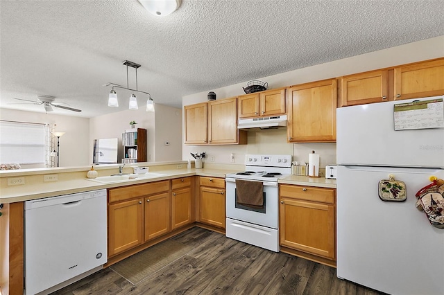 kitchen with hanging light fixtures, dark hardwood / wood-style floors, white appliances, and sink