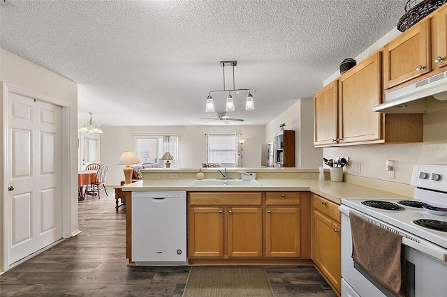 kitchen with sink, white appliances, kitchen peninsula, ceiling fan, and dark hardwood / wood-style floors