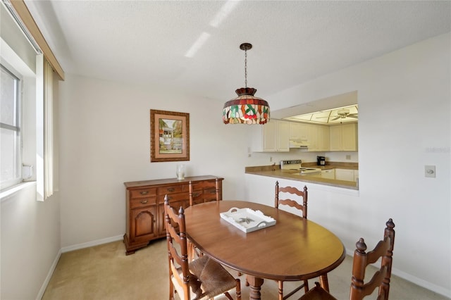 carpeted dining room featuring a wealth of natural light and a textured ceiling