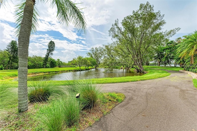 view of community featuring a lawn and a water view