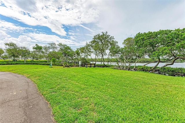 view of yard with a water view