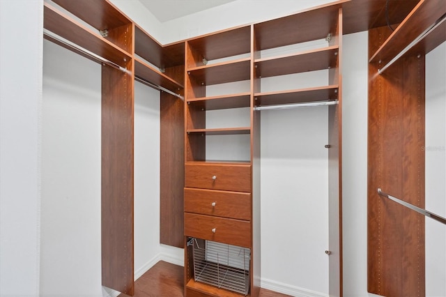 walk in closet with hardwood / wood-style floors