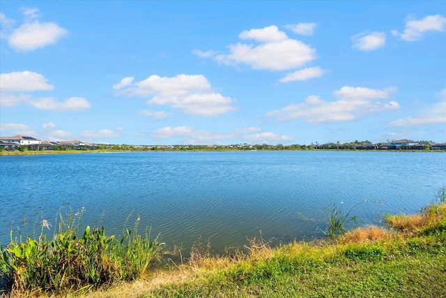 view of water feature