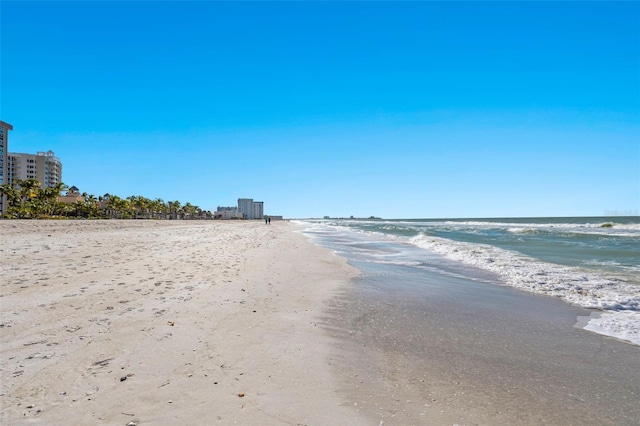 view of water feature featuring a beach view