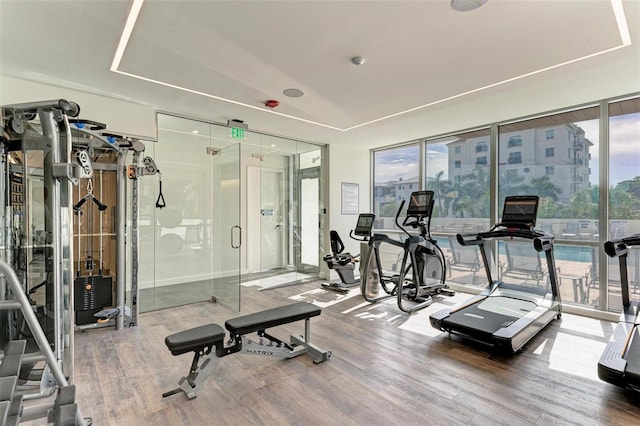 workout area with floor to ceiling windows and wood finished floors