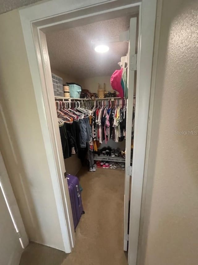 walk in closet featuring carpet flooring