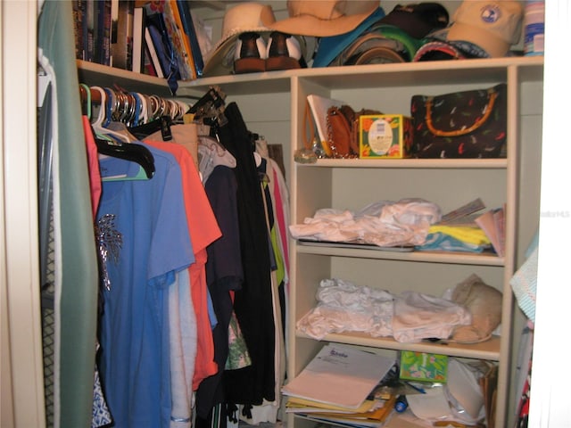 view of walk in closet