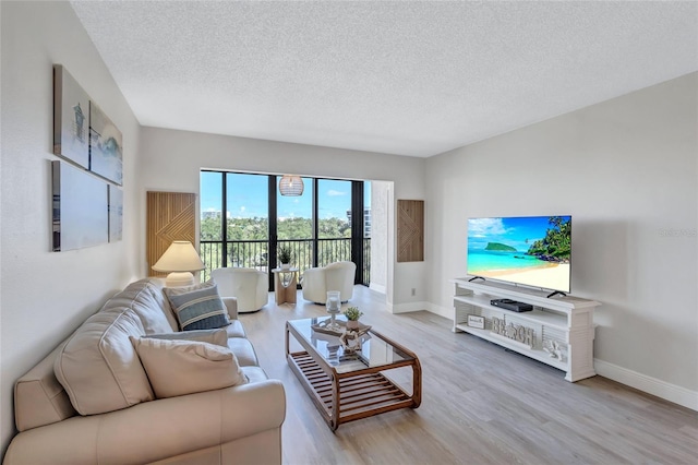 living room featuring wood-type flooring and a textured ceiling