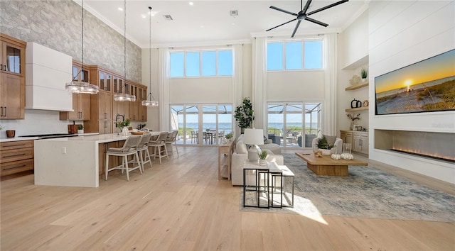 living room featuring a healthy amount of sunlight, a towering ceiling, and ornamental molding