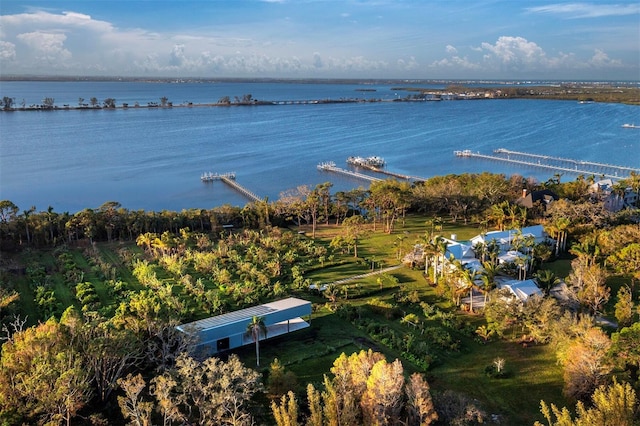 drone / aerial view featuring a water view