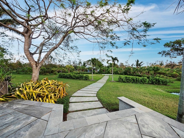 view of property's community featuring a patio area and a yard