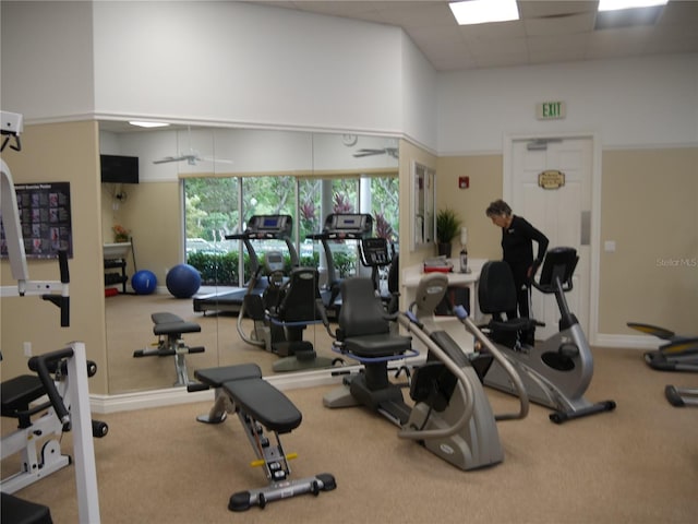 exercise room with carpet flooring and a high ceiling