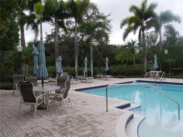 view of swimming pool featuring a patio