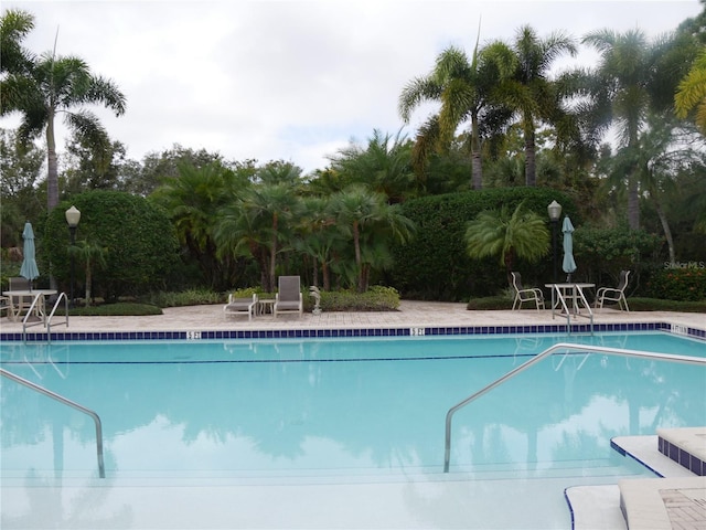 view of pool with a patio area