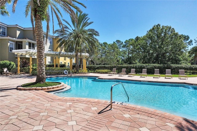 view of swimming pool featuring a pergola and a patio area