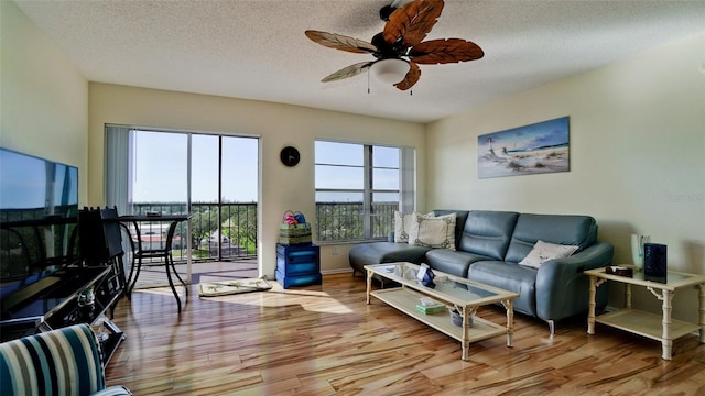 2901 26th St W Unit 818, Bradenton, FL 34205 - photo 3