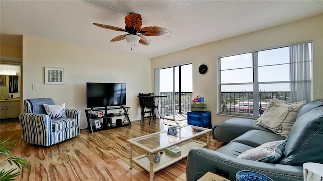 2901 26th St W Unit 818, Bradenton, FL 34205 - photo 4