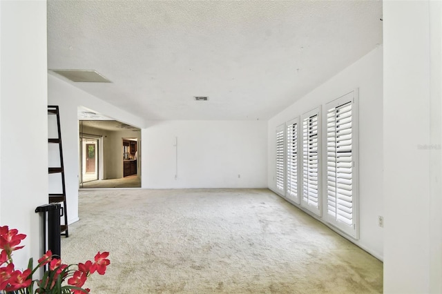 carpeted empty room featuring a healthy amount of sunlight and a textured ceiling