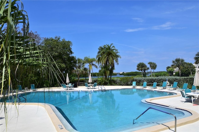 1508 Pelican Cove Rd Unit Gr233, Sarasota, FL 34231 - community pool featuring a patio