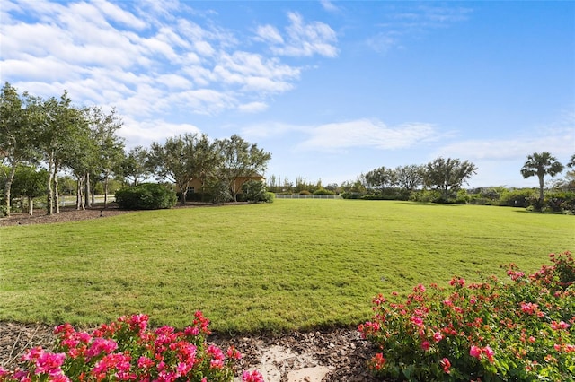 view of yard featuring a rural view