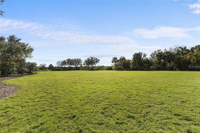 view of yard featuring a rural view