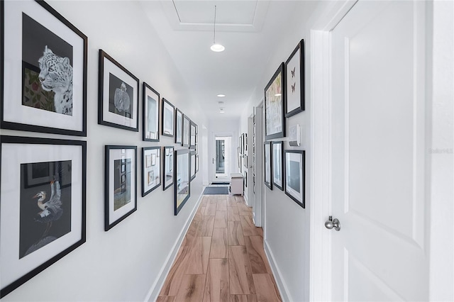 corridor featuring light hardwood / wood-style floors