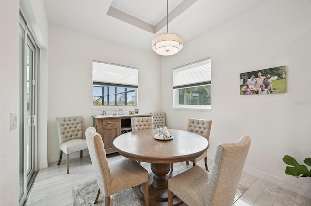 dining area with light hardwood / wood-style floors and plenty of natural light