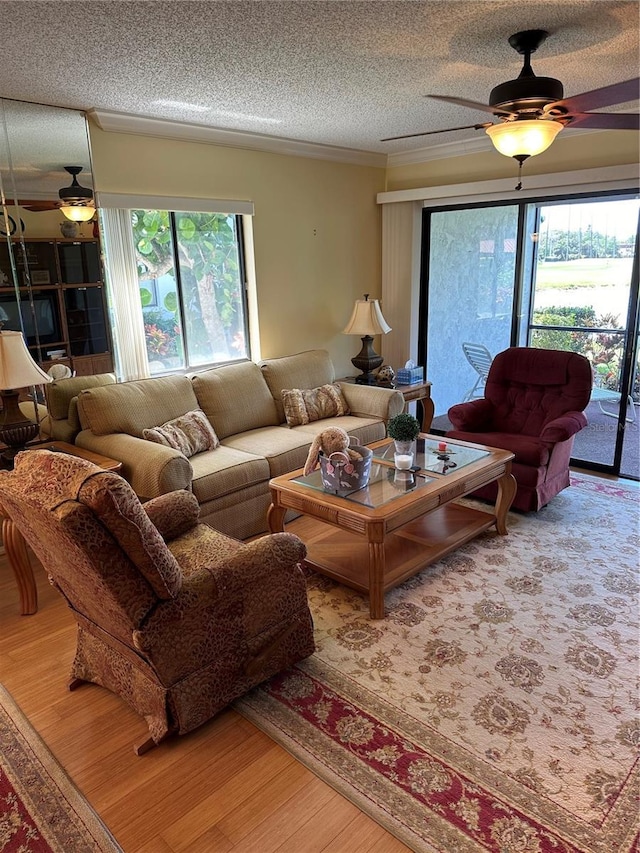 3500 El Conquistador Pkwy Unit 331, Bradenton, FL 34210 - living area featuring a ceiling fan, wood finished floors, a textured ceiling, and crown molding