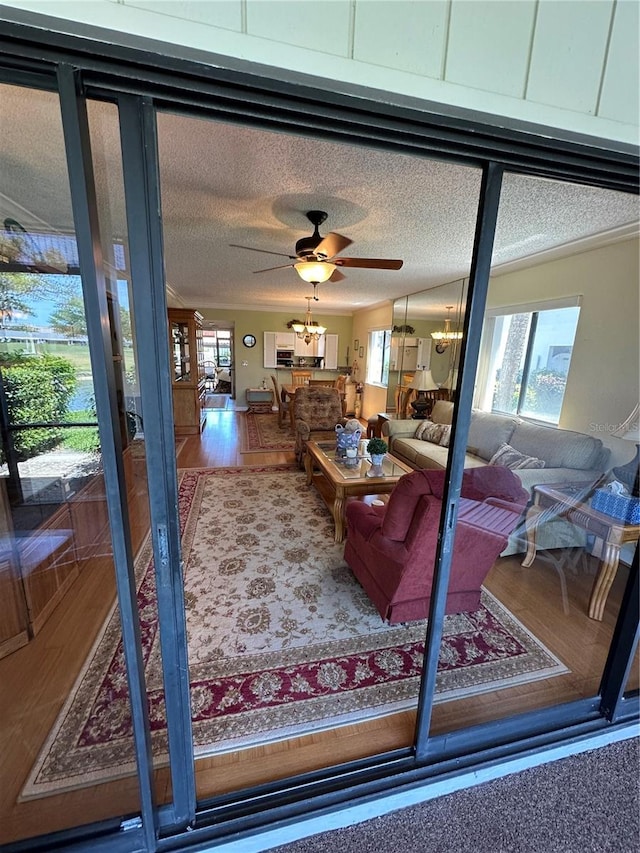 living room with a healthy amount of sunlight, ceiling fan with notable chandelier, and hardwood / wood-style flooring