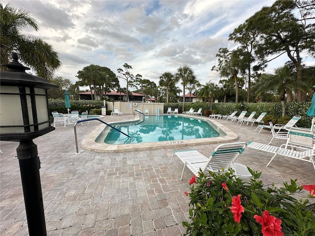 view of swimming pool with a patio area