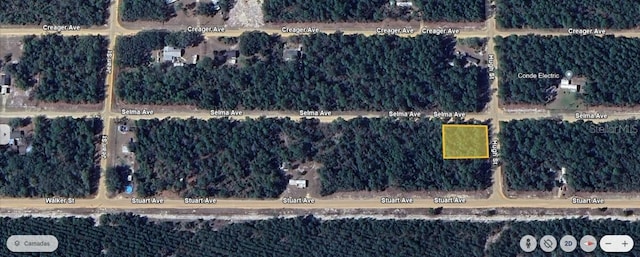 Listing photo 3 for Salem Ave, Interlachen FL 32148