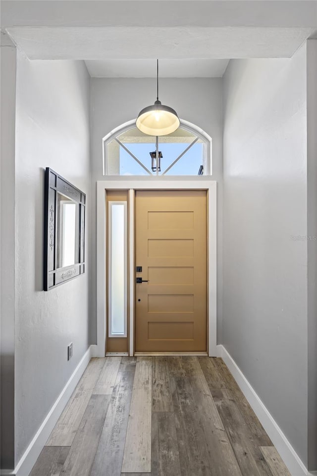 entryway with wood-type flooring