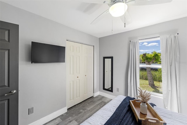 bedroom with a closet, hardwood / wood-style flooring, and ceiling fan