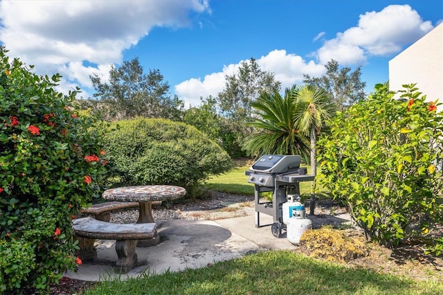 view of yard featuring a patio area