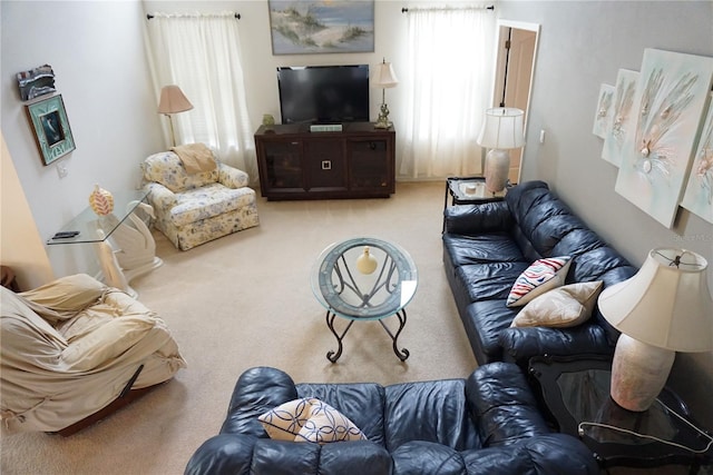 carpeted living room featuring a healthy amount of sunlight