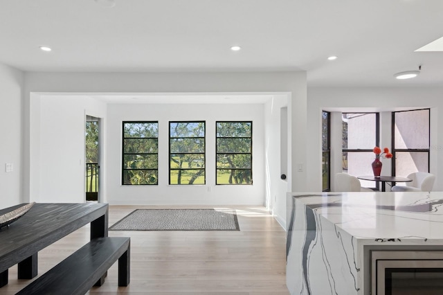 interior space with light wood-type flooring