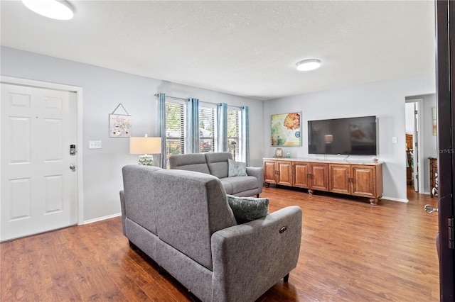 living room with hardwood / wood-style floors and a textured ceiling