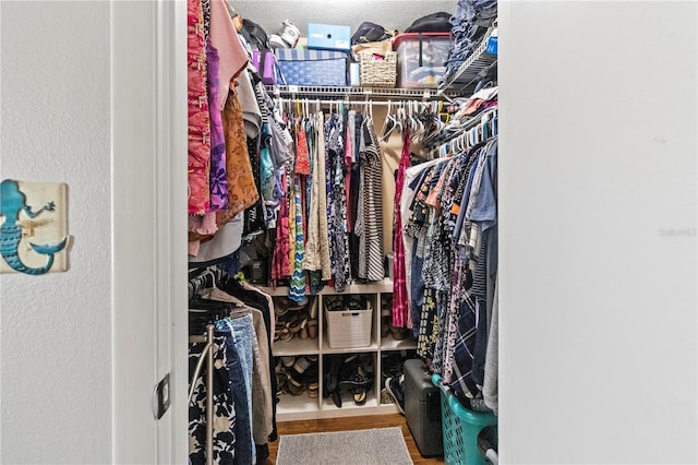 walk in closet with wood-type flooring