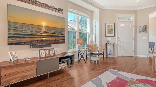 living area featuring wood-type flooring and crown molding