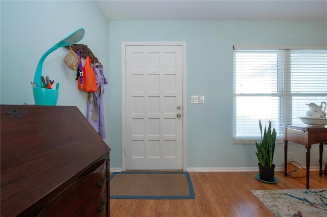 entryway with plenty of natural light and light wood-type flooring