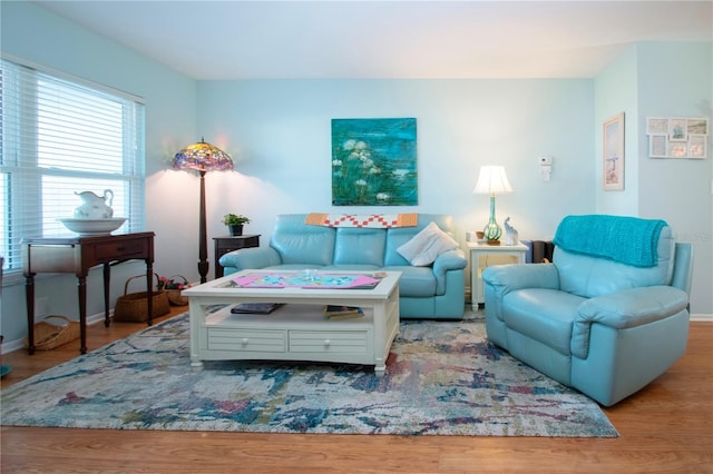 living room with light hardwood / wood-style flooring