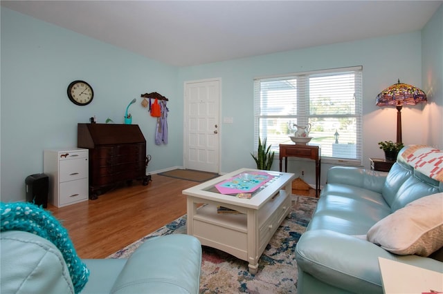 living room featuring light hardwood / wood-style flooring