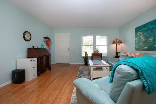 living room featuring light wood-type flooring